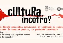 Timișorenii și cultura orașului: concluziile cercetărilor sociologice realizate în 2024–2025, prezentate la Sala Lira