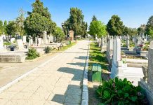 Controverse la Primăria Timișoara: funcționari trimiși să inventarieze mormintele din cimitire