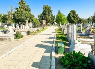 Controverse la Primăria Timișoara: funcționari trimiși să inventarieze mormintele din cimitire