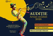 Casa de Cultură Timișoara organizează audiții pentru artiștii stradali