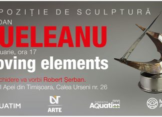 Muzeul Apei Timișoara inaugurează 2026 cu expoziția „Moving Elements”