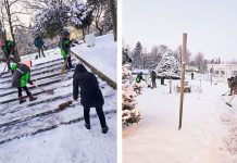 Primăria Timișoara mobilizează forțe sporite pentru deszăpezire și siguranță rutieră