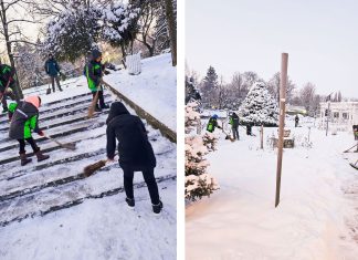 Primăria Timișoara mobilizează forțe sporite pentru deszăpezire și siguranță rutieră