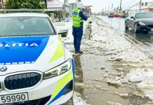 Atenționare meteo în Timiș: intervenții de deszăpezire și controale sporite în trafic