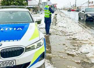 Atenționare meteo în Timiș: intervenții de deszăpezire și controale sporite în trafic