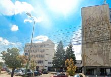 Șomajul în județul Timiș rămâne la un nivel scăzut: rată de 1,04% la finalul anului 2025