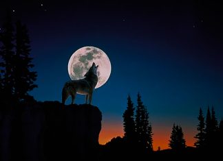 Luna Lupului luminează începutul de an: superlună vizibilă azi, 3 ianuarie