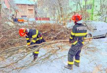 150 de intervenții în două zile: salvatorii timișeni, mobilizați de vremea severă (foto)