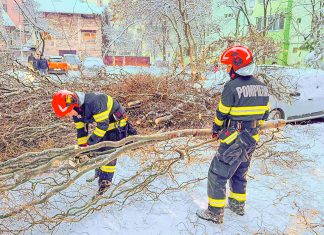 150 de intervenții în două zile: salvatorii timișeni, mobilizați de vremea severă (foto)