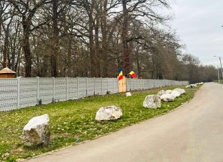 Roxana Iliescu acuză administrația locală: „Lipsa parcărilor a devenit sursă de venit din amenzi”