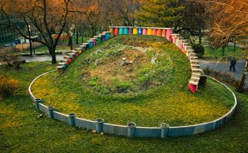 Primăria Timișoara modernizează Ceasul Floral: alei noi, iluminat LED și sistem automat de irigare
