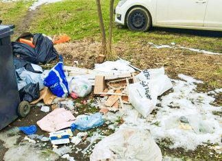 Amenzi de peste 165.000 lei date de Poliția Locală pentru abandonarea deșeurilor în Timișoara (foto)