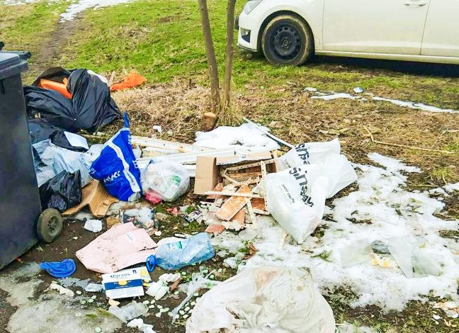 Amenzi de peste 165.000 lei date de Poliția Locală pentru abandonarea deșeurilor în Timișoara (foto)