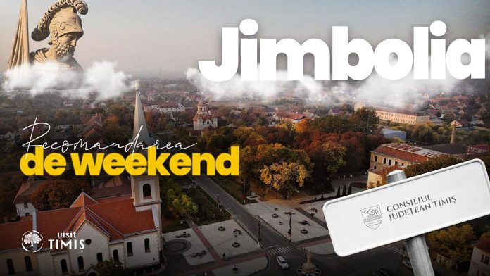 grafica-tip-banner-Jimbolia