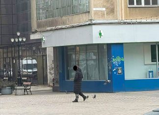 Servicii foto promovate ilegal în Piața Victoriei: opt sancțiuni aplicate de Poliția Locală