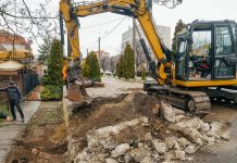 Primăria Timișoara recuperează peste 250 mp de spațiu verde ocupat ilegal pe Calea Aradului