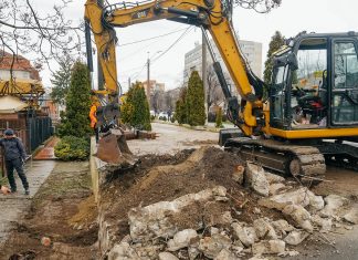 Primăria Timișoara recuperează peste 250 mp de spațiu verde ocupat ilegal pe Calea Aradului