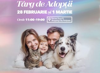 Mărțișor cu suflet: adopții și donații pentru animalele fără stăpân, la Timișoara
