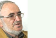 Lansare de carte la Timișoara: Adrian Dinu Rachieru prezintă volumul „Puzzle banatic”