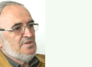 Lansare de carte la Timișoara: Adrian Dinu Rachieru prezintă volumul „Puzzle banatic”