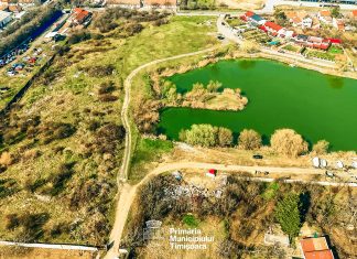 Primăria Timișoara amenajează un nou spațiu verde în cartierul Dâmbovița, lângă Lacul Balaurul (foto)