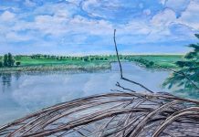 Arta curge la Palatul Apelor: o nouă ediție a expoziției dedicate simbolisticii apei