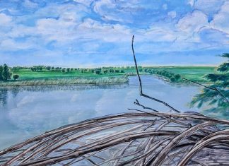 Arta curge la Palatul Apelor: o nouă ediție a expoziției dedicate simbolisticii apei