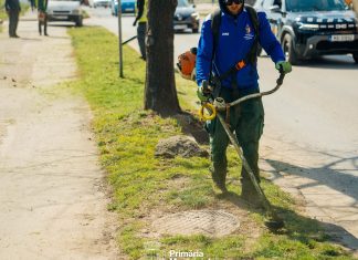 Primăria Timișoara începe cosirea ierbii în cartiere: peste 600 de hectare de spații verzi în întreținere (foto)