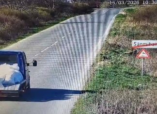 Două persoane prinse în timp ce aruncau ilegal deșeuri la Sânmihaiu Român (video)