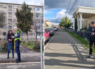 137 de amenzi pentru pietoni în Timiș: poliția intensifică controalele în trafic