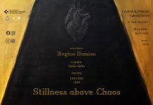 Stillness above Chaos, expoziție de pictură Regina Damian la Centrul de Proiecte