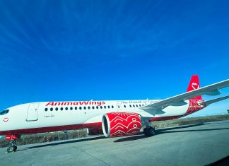 AnimaWings extinde zborurile din Timișoara: noi rute către Copenhaga și Rotterdam