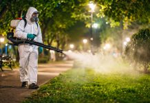 Dezinsecție în Timișoara: tratamente împotriva țânțarilor și căpușelor, în perioada 4–12 mai