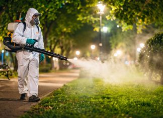 Dezinsecție în Timișoara: tratamente împotriva țânțarilor și căpușelor, în perioada 4–12 mai