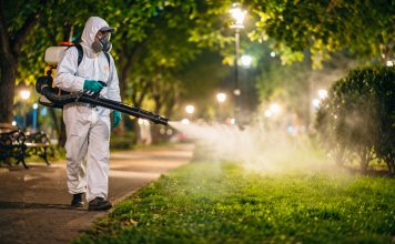 Dezinsecție în Timișoara: tratamente împotriva țânțarilor și căpușelor, în perioada 4–12 mai