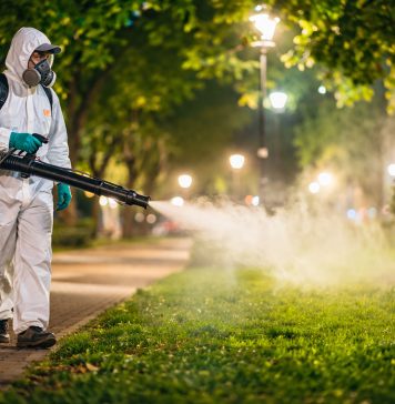Dezinsecție în Timișoara: tratamente împotriva țânțarilor și căpușelor, în perioada 4–12 mai