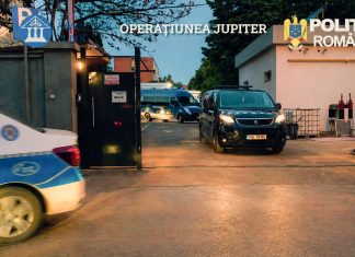 Lovitură împotriva comerțului ilegal: percheziții și prejudiciu de peste 600.000 de lei în Timiș