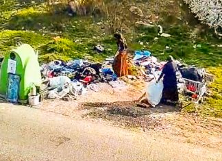 Amenzi de peste un milion de lei pentru nereguli de mediu în Timișoara