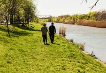 „Teren comun – peisaje pe Bega”: proiect despre viitorul relației dintre oraș și natură în Timișoara