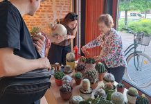 Expoziție de cactuși și plante suculente la Bastionul Theresia din Timișoara