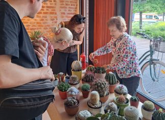 Expoziție de cactuși și plante suculente la Bastionul Theresia din Timișoara