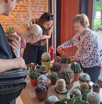 Expoziție de cactuși și plante suculente la Bastionul Theresia din Timișoara
