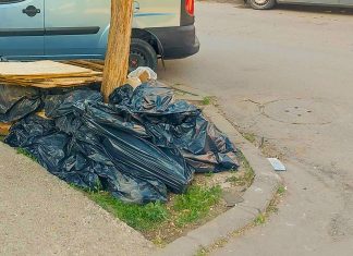 Amendă de 30.000 de lei pentru abandon de deșeuri pe o stradă din Timișoara