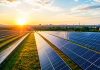 Timișoara face un pas spre independența energetică: primul parc fotovoltaic va alimenta iluminatul public