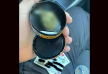 Suspecți de consum de droguri, depistați pe o stradă din Timișoara