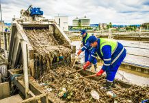 Ploile torențiale au adus 35 de tone de deșeuri în canalizarea Timișoarei