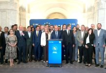 Criză în PNL: liberalii refuză să voteze Guvernul Veștea în Parlament