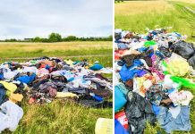 Poliția Locală Timișoara a descoperit cine se află în spatele unui munte de deșeuri abandonate (foto)