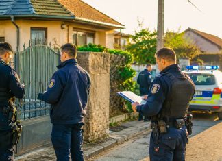 Tânăr de 20 de ani din Timiș, anchetat după publicarea unor imagini intime