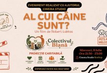 Proiecție de film și târg de adopții pentru animale, în luna iulie, la Timișoara
